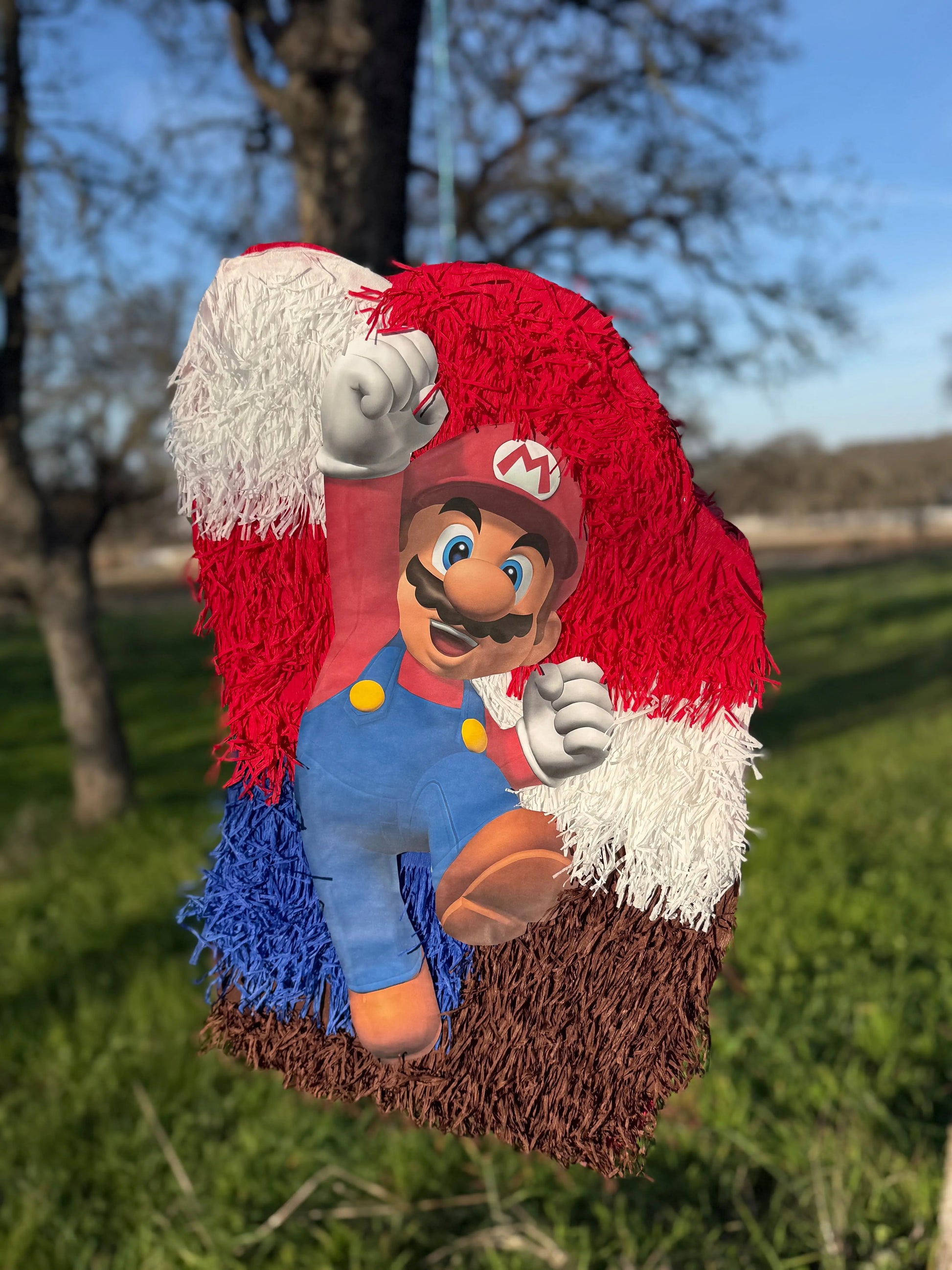Retro Plumber Brothers Inspired Piñata | Large Handmade 2D Gaming Party Decoration PinataBloom