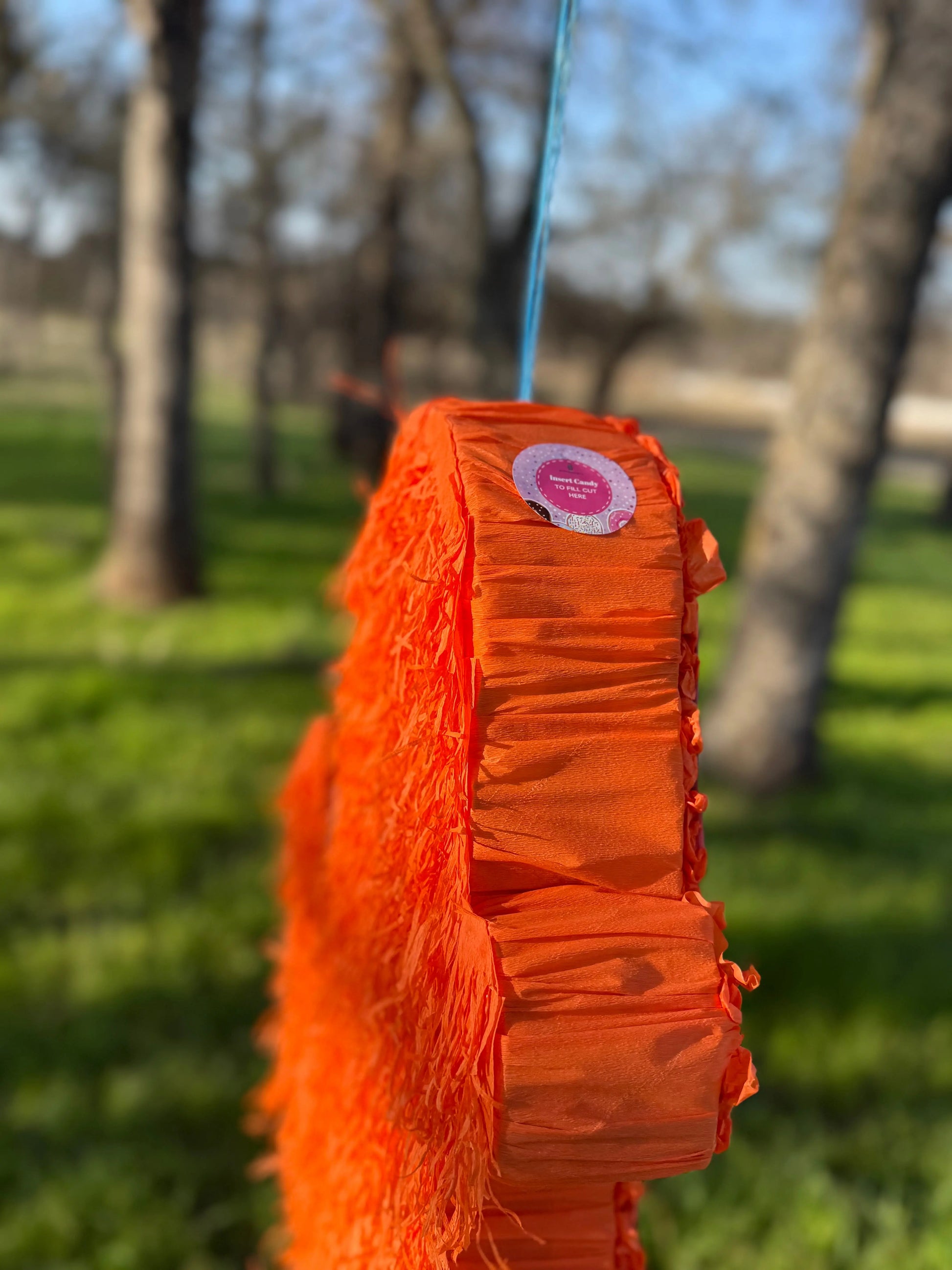 Fire Lizard Monster Piñata  22"x18"x4" Custom Flame Party Decoration PinataBloom