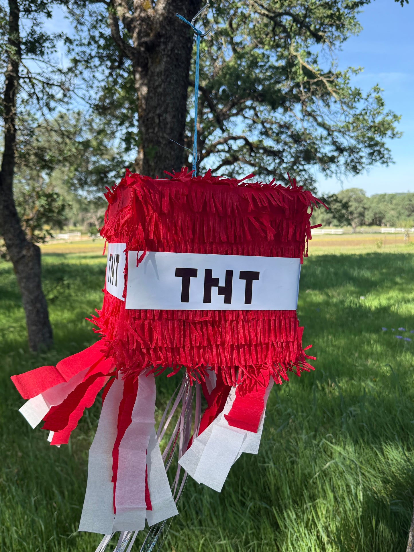 TNT Mystery Box Pinata Heavy Duty