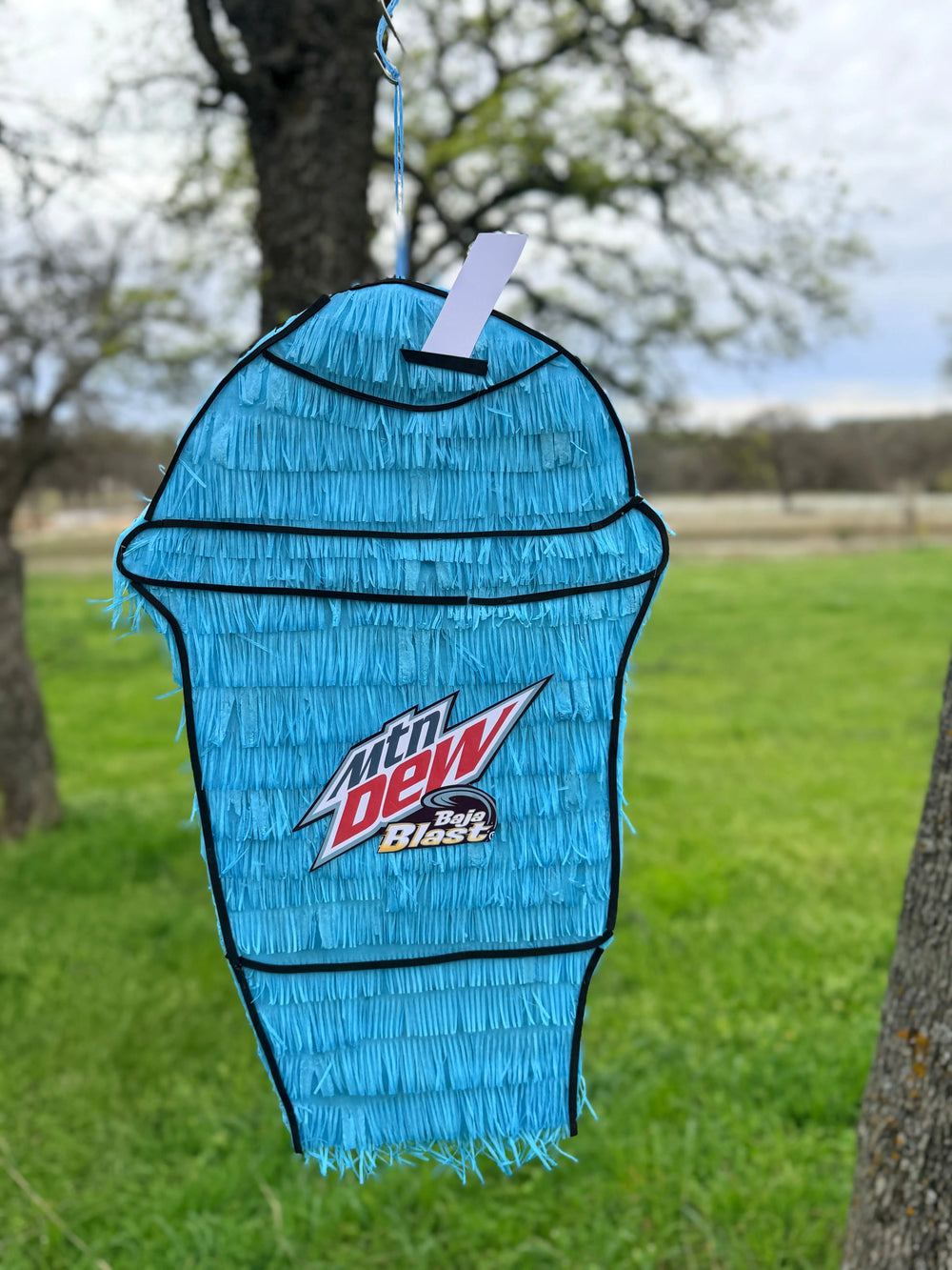 Baja Blast Freeze Piñata: Taco Bell Party Decor 24"x15"x4" | Fast Food Party Decor