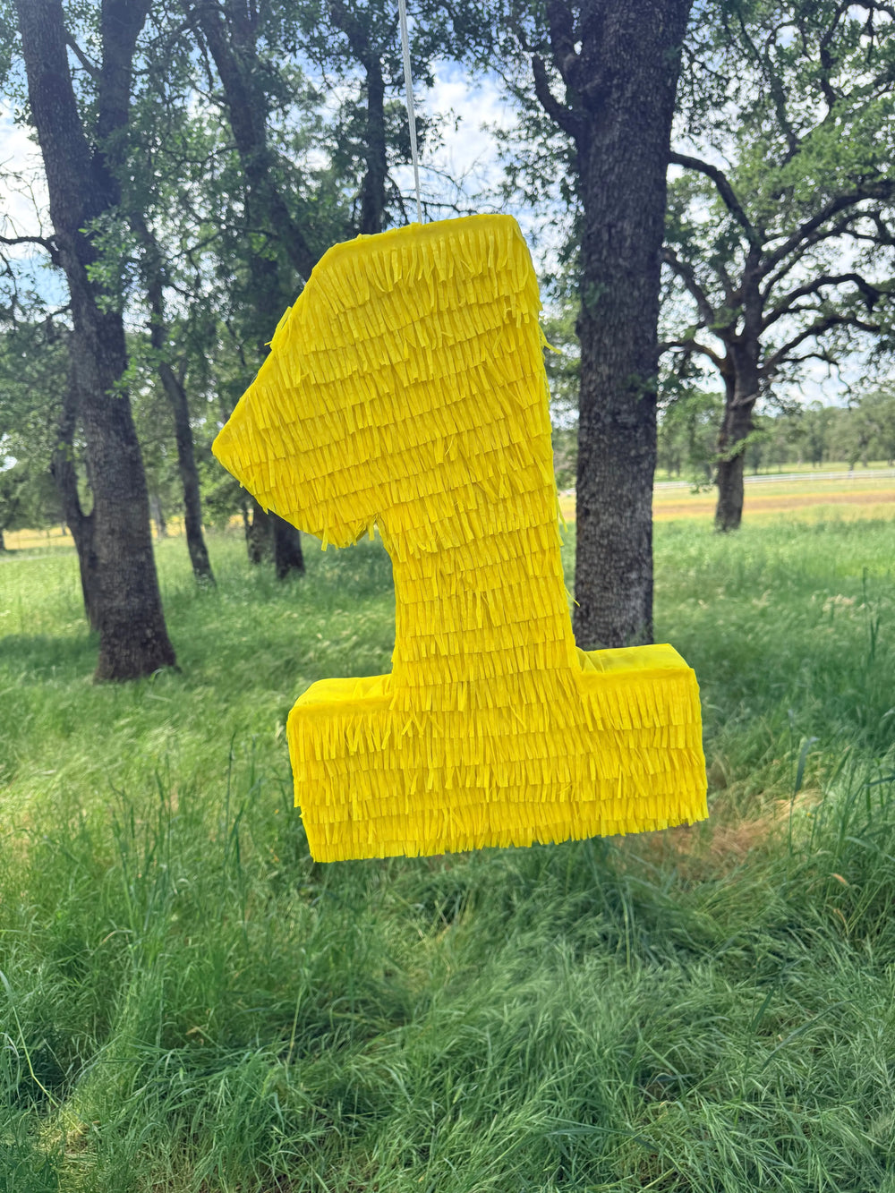 Yellow Number Piñata Personalized Birthday Pinata 24"x18"x4" and 30"x20"x4"