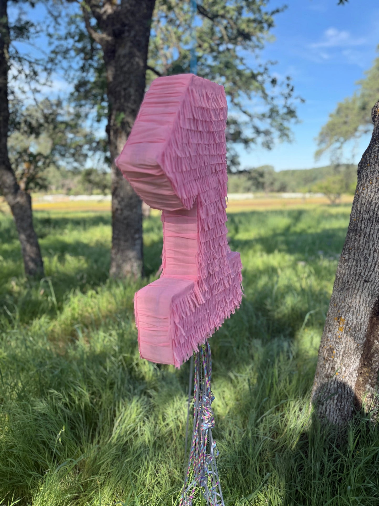 Pink Number Piñata Personalized Birthday Pinata 24"x18"x4" and 30"x20"x4" PinataBloom