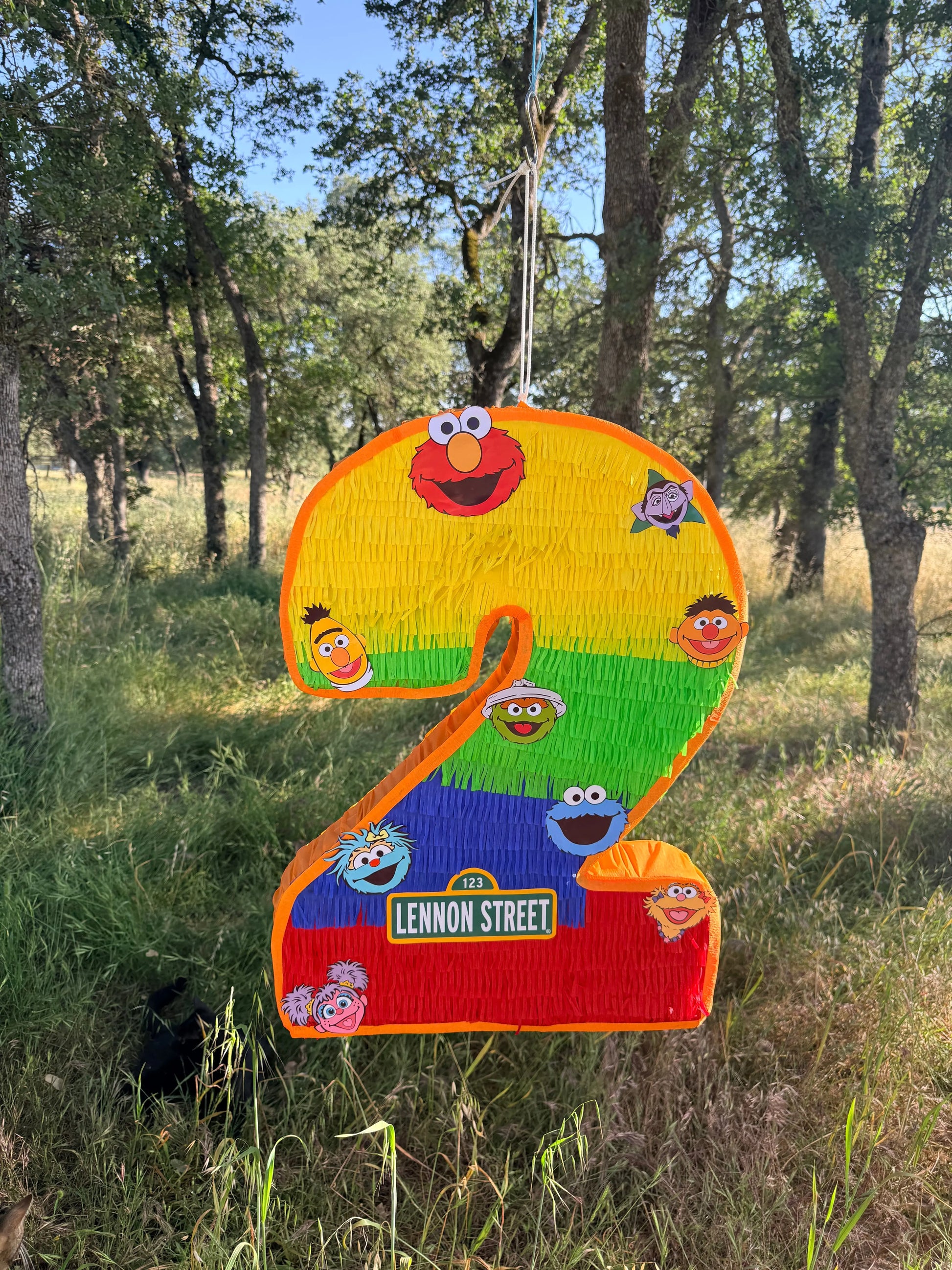 Custom Monster Number Pinata 24"x18"x4" PinataBloom