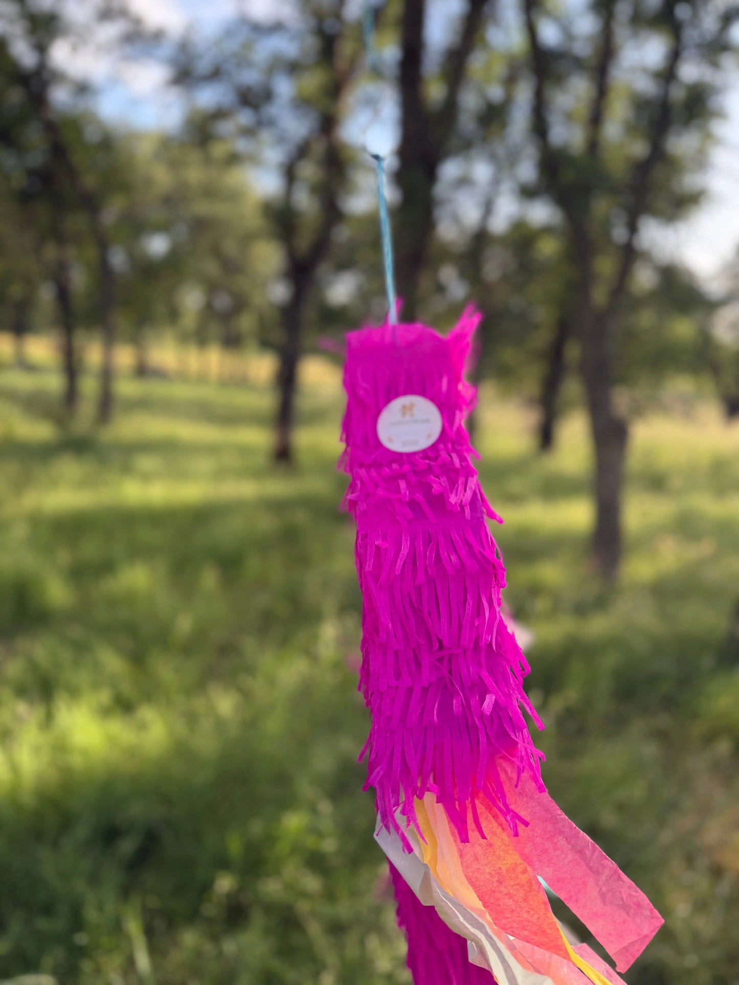 K-Pop Demon Hunter Inspired Piñata 20"x18"x4" | Music Birthday Party Decor PinataBloom