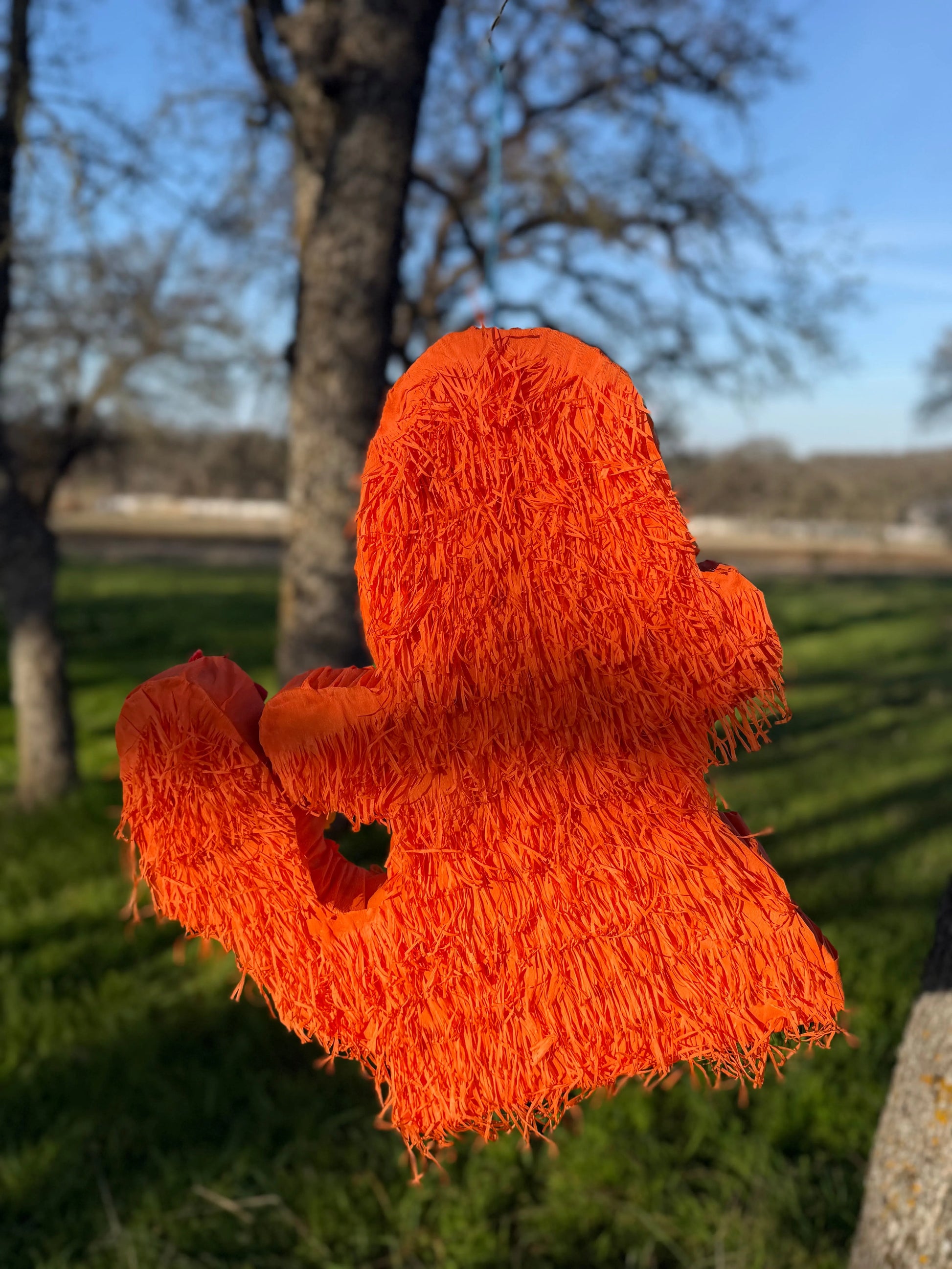 Fire Lizard Monster Piñata  22"x18"x4" Custom Flame Party Decoration PinataBloom