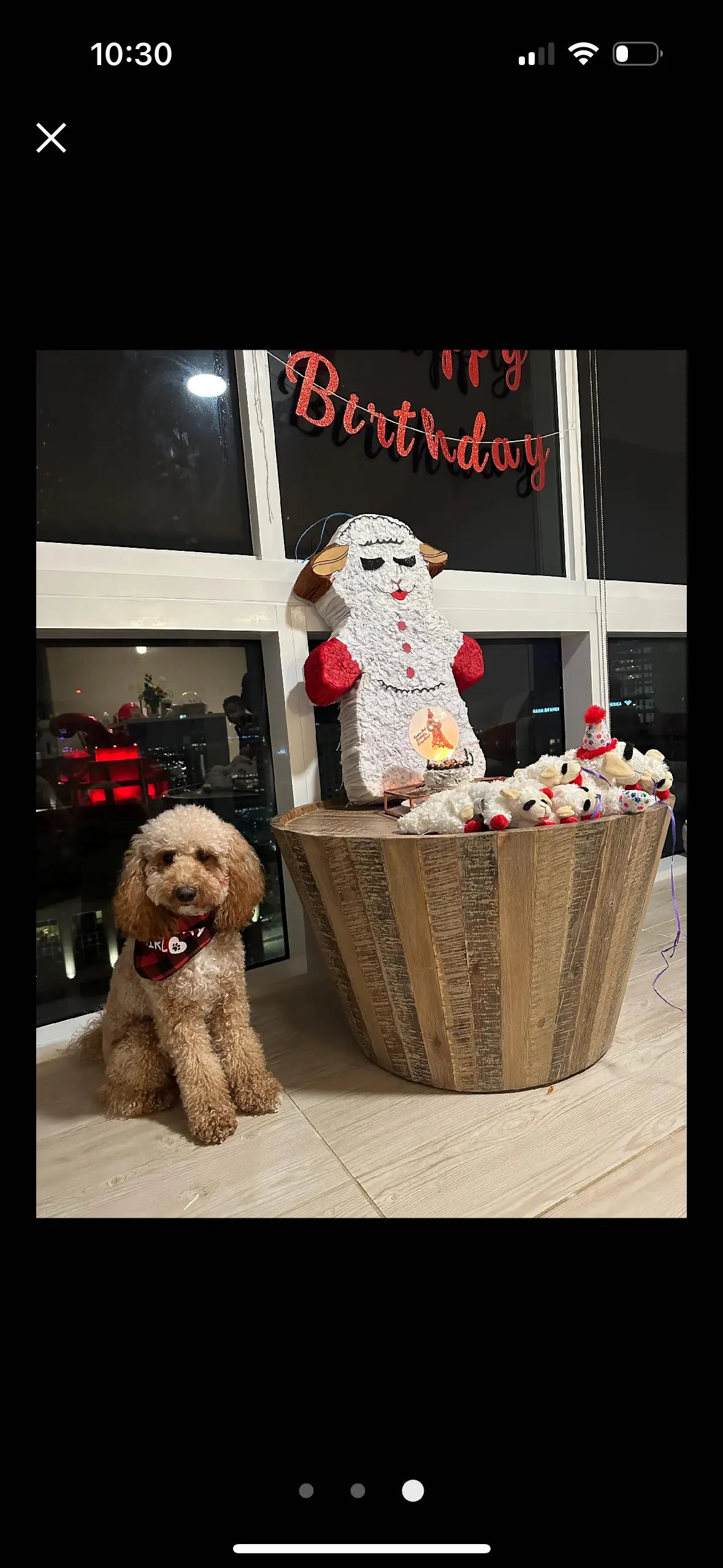 24" Tall Chomp Lamb Piñata | Animal Birthday Party Decor PinataBloom