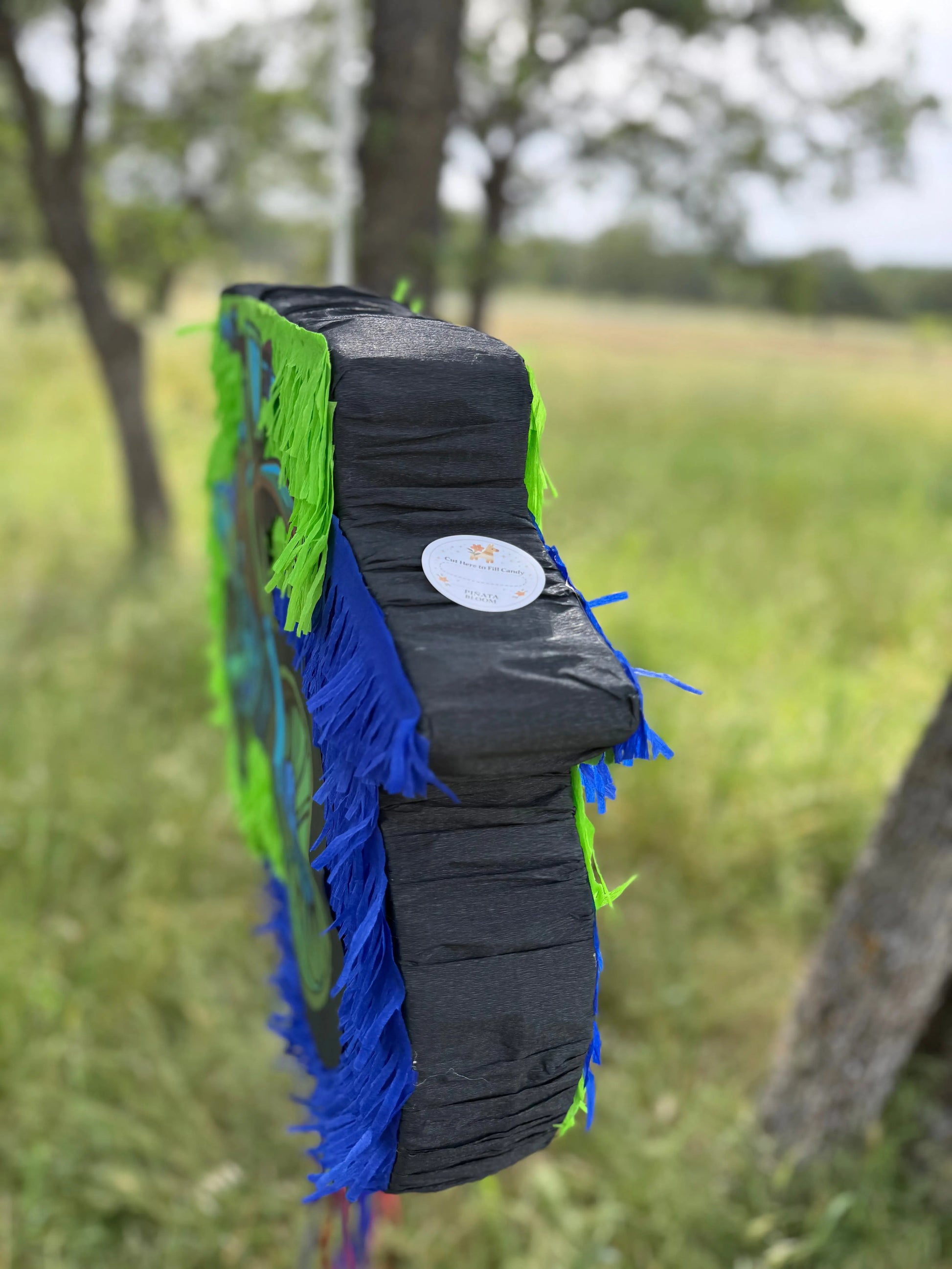 Handmade Dirt Bike Piñata | Motorcycle Birthday Party Decor 24"x18"x4" & 30"x20"x4" PinataBloom