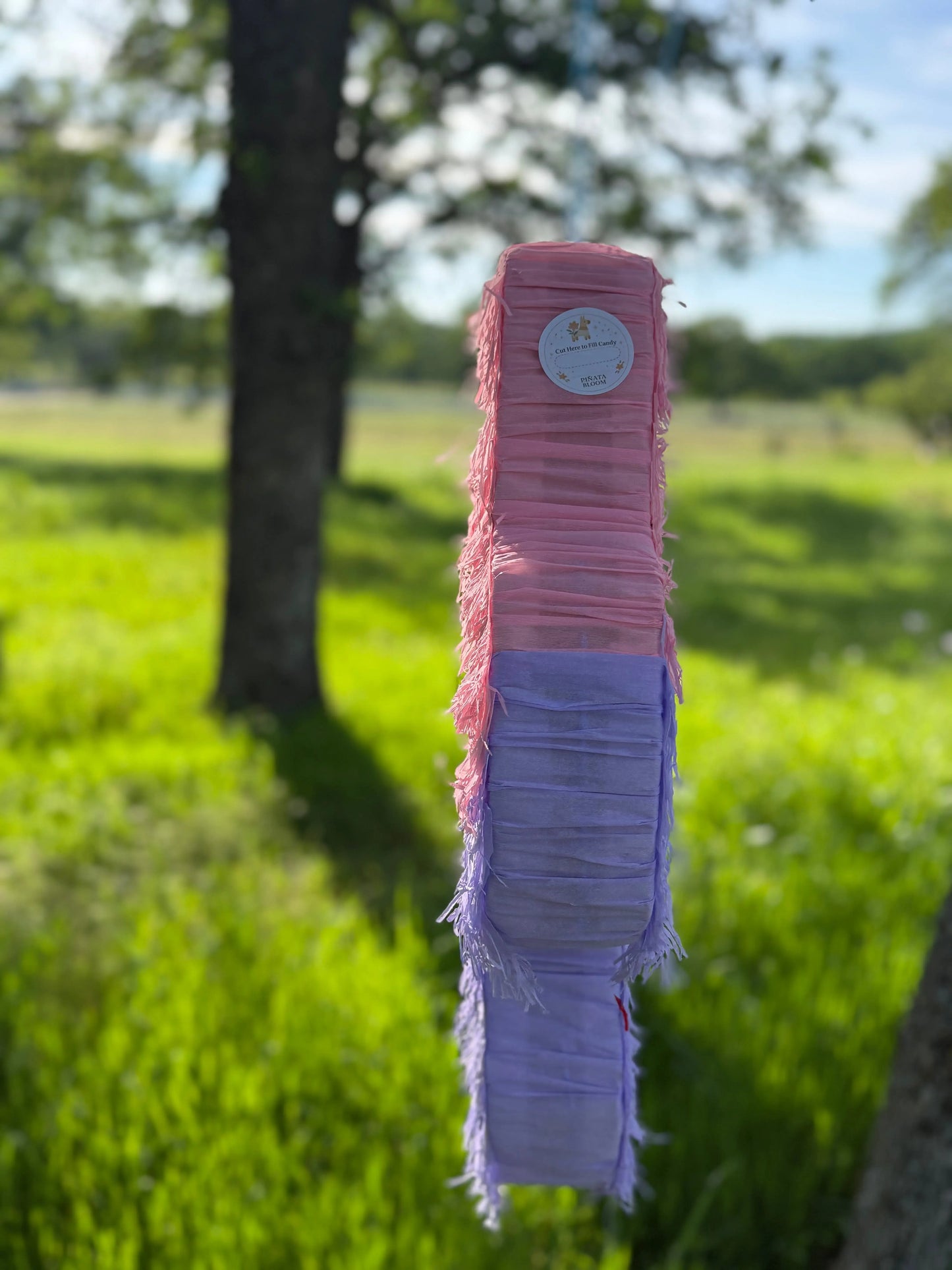 Theremind Inspired Piñata | Monster Game Birthday Decor PinataBloom