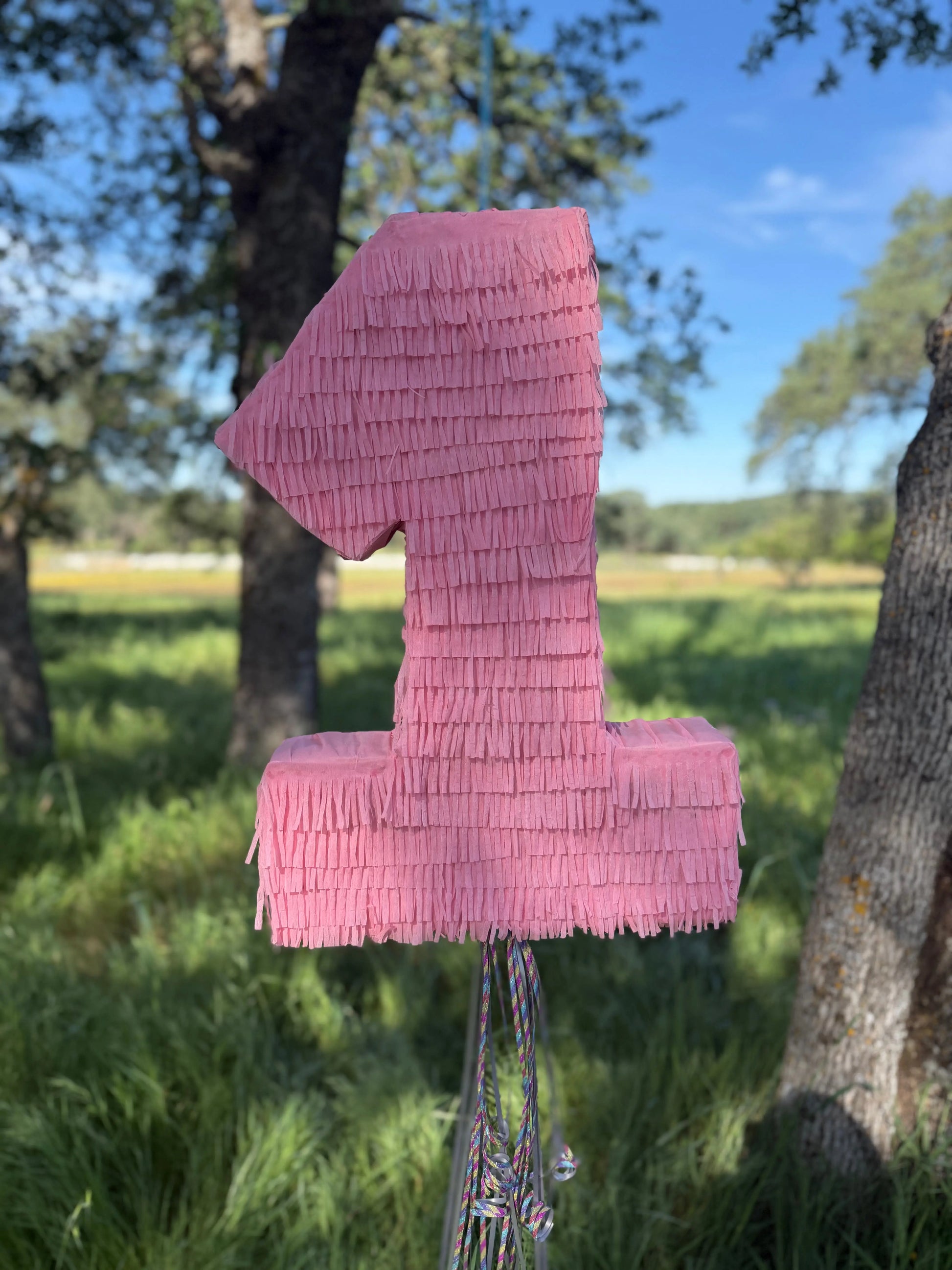 Pink Number Piñata Personalized Birthday Pinata 24"x18"x4" and 30"x20"x4" PinataBloom