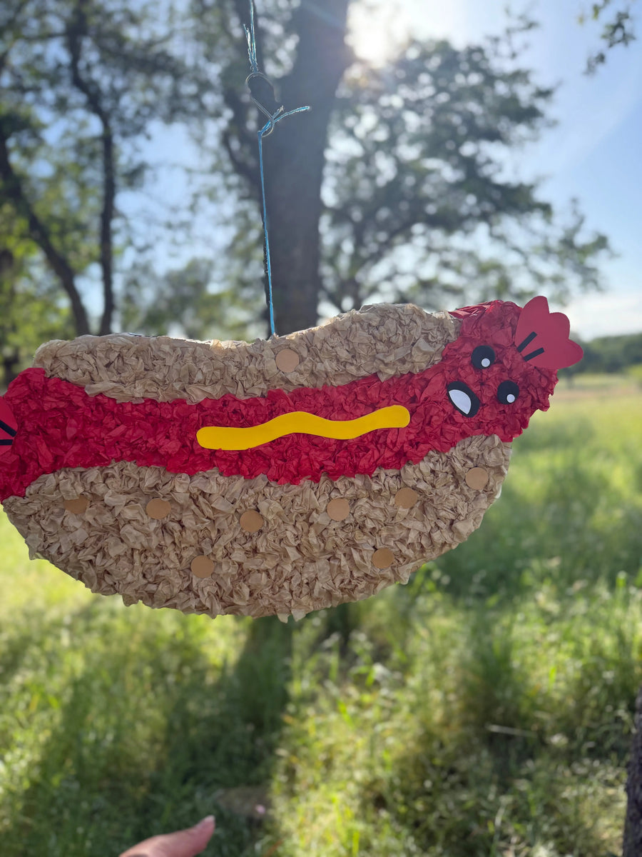 Hot Dog Piñata for Birthday Party Decorations | Large Handmade 2D Party Piñata