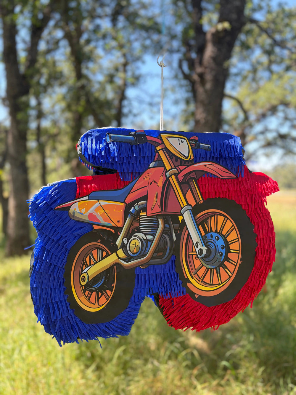 Handmade Dirt Bike Piñata | Motorcycle Birthday Party Decor 24"x18"x4" & 30"x20"x4"
