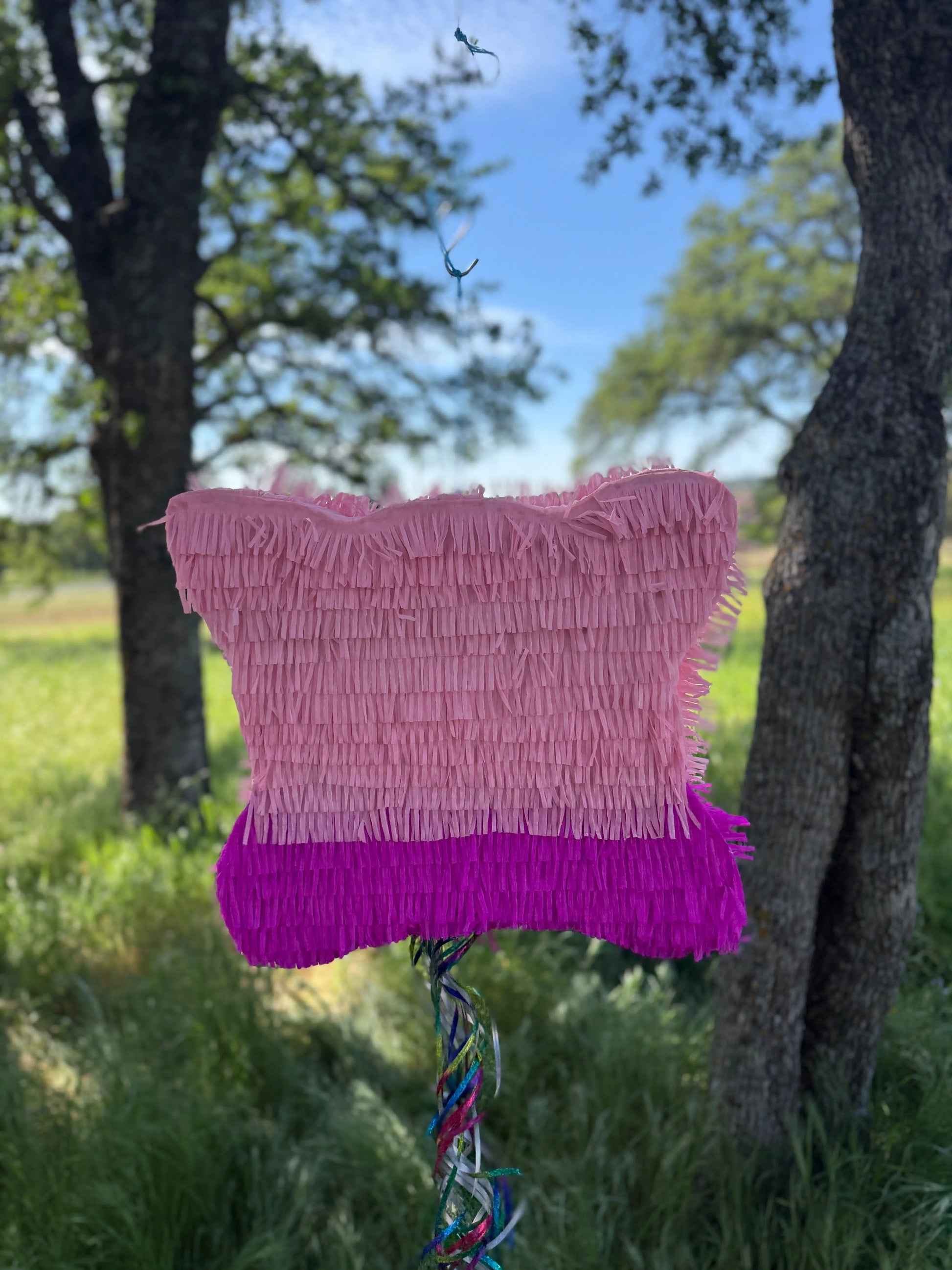 Pink Galactic Space Hero Piñata 21"x18"x4" | Custom Birthday Party Decor PinataBloom