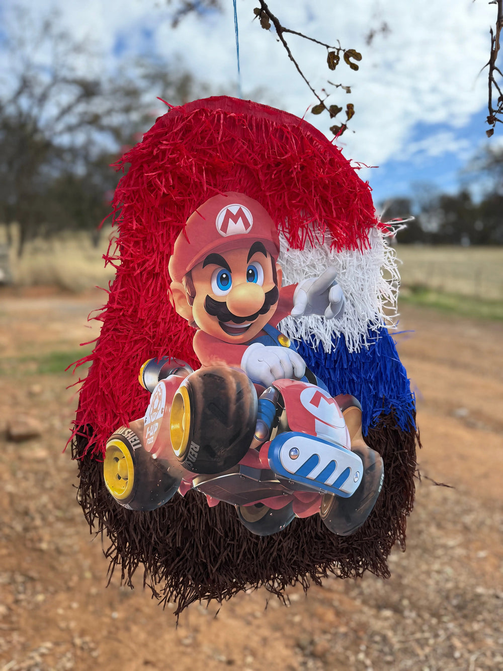 Kart Racing Theme Piñata | Kids Birthday Party Decor