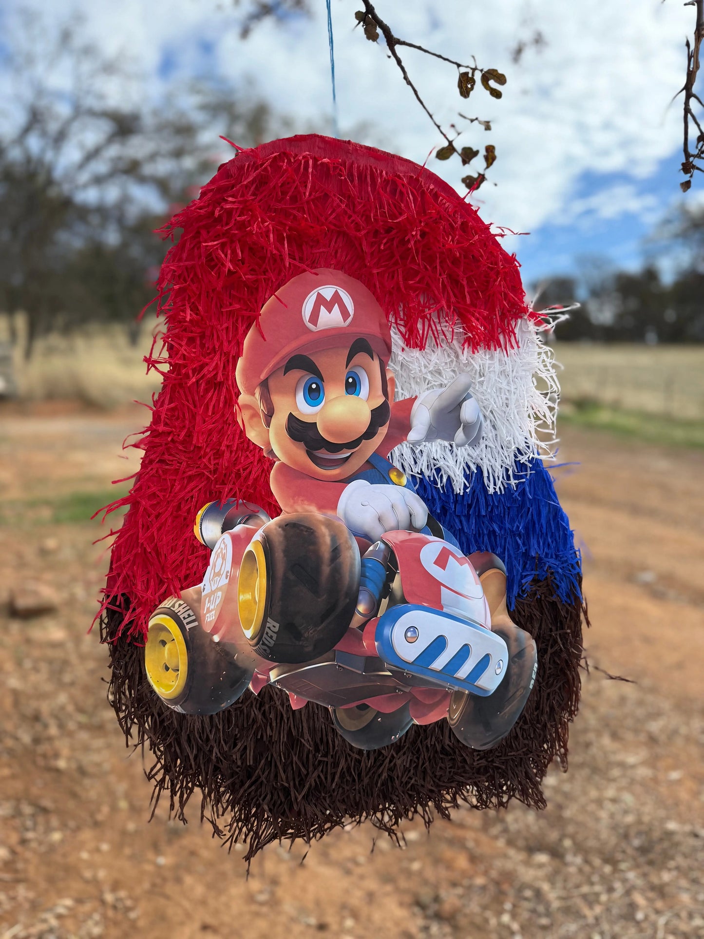 Kart Racing Theme Piñata | Kids Birthday Party Decor PinataBloom