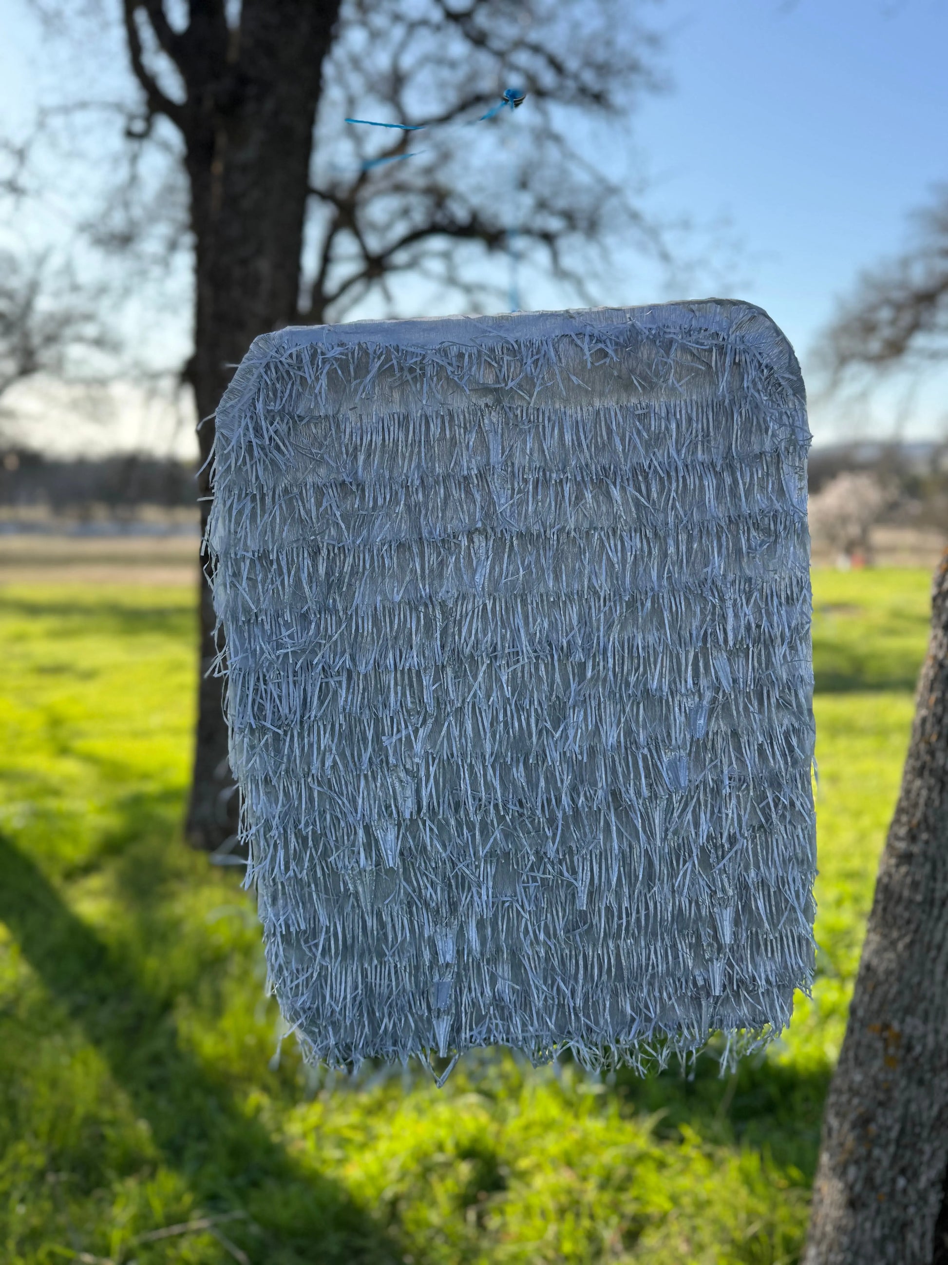 Diet Soda Inspired Piñata | Large Handmade 2D Party Decoration PinataBloom