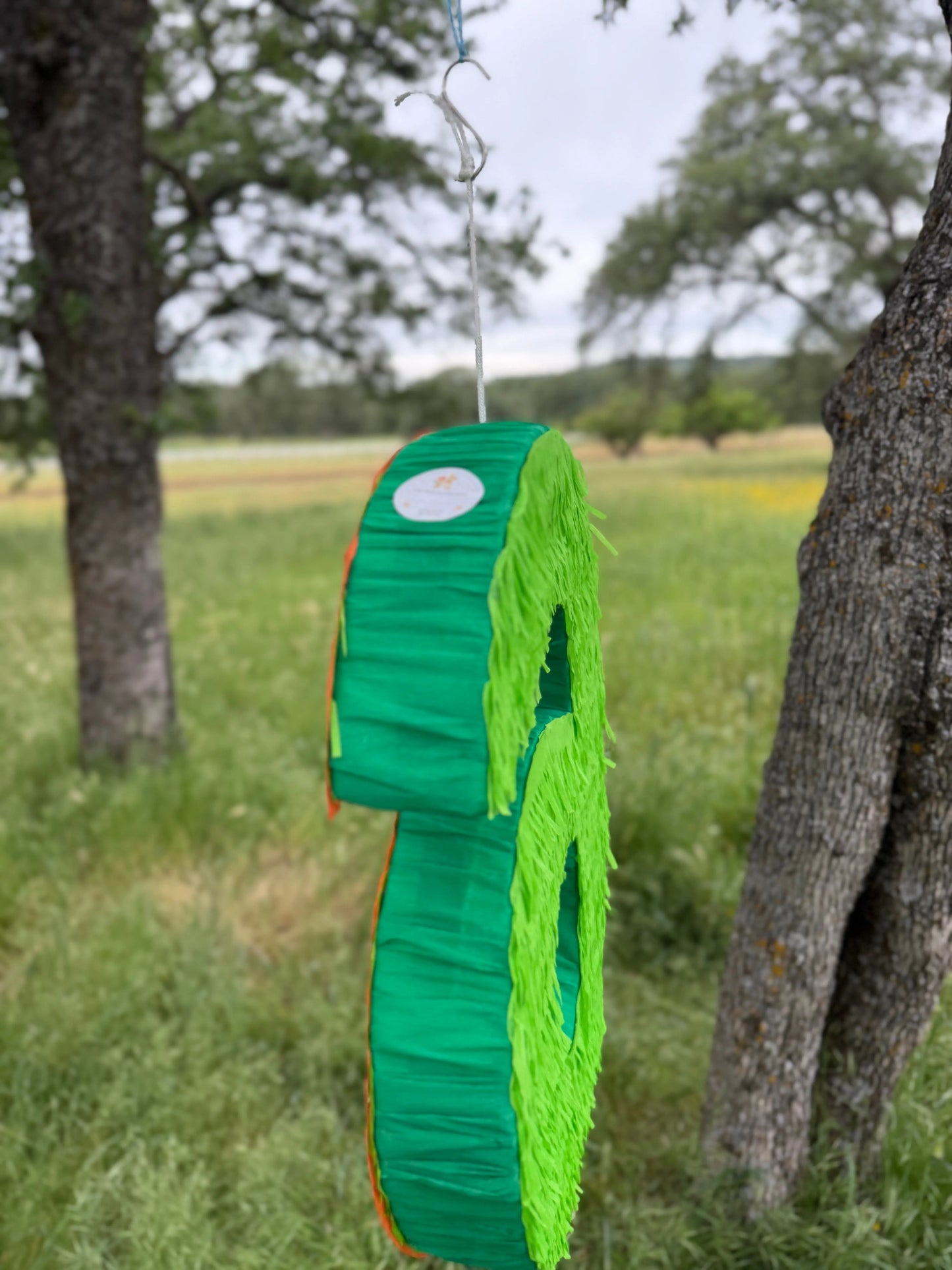 Mutant Turtle Custom Number Piñata | Large Handmade 2D Party Decoration PinataBloom