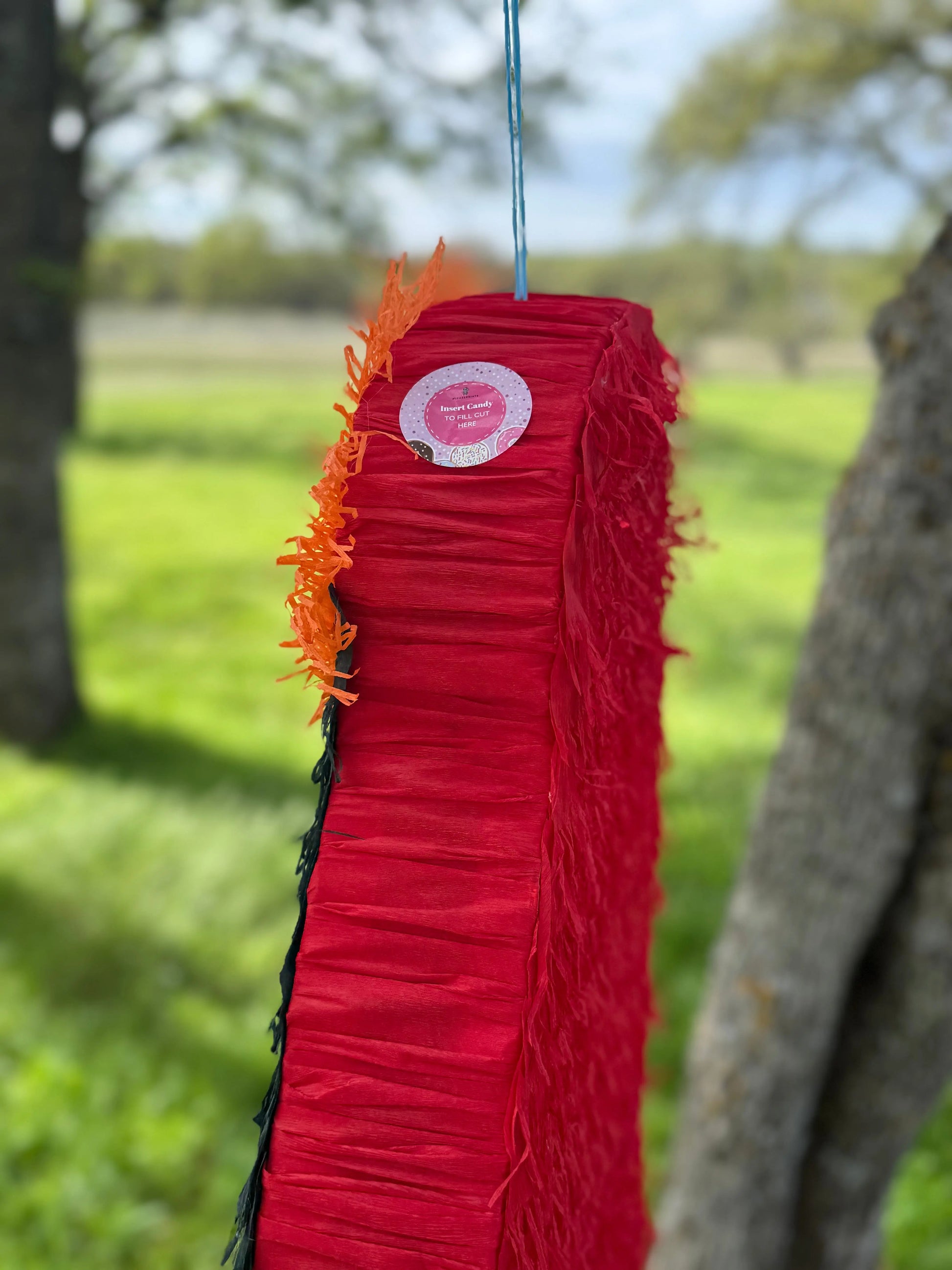 Moana Inspired Piñata for Birthday Party Decorations | Large Handmade 2D Party Piñata (Copy) PinataBloom