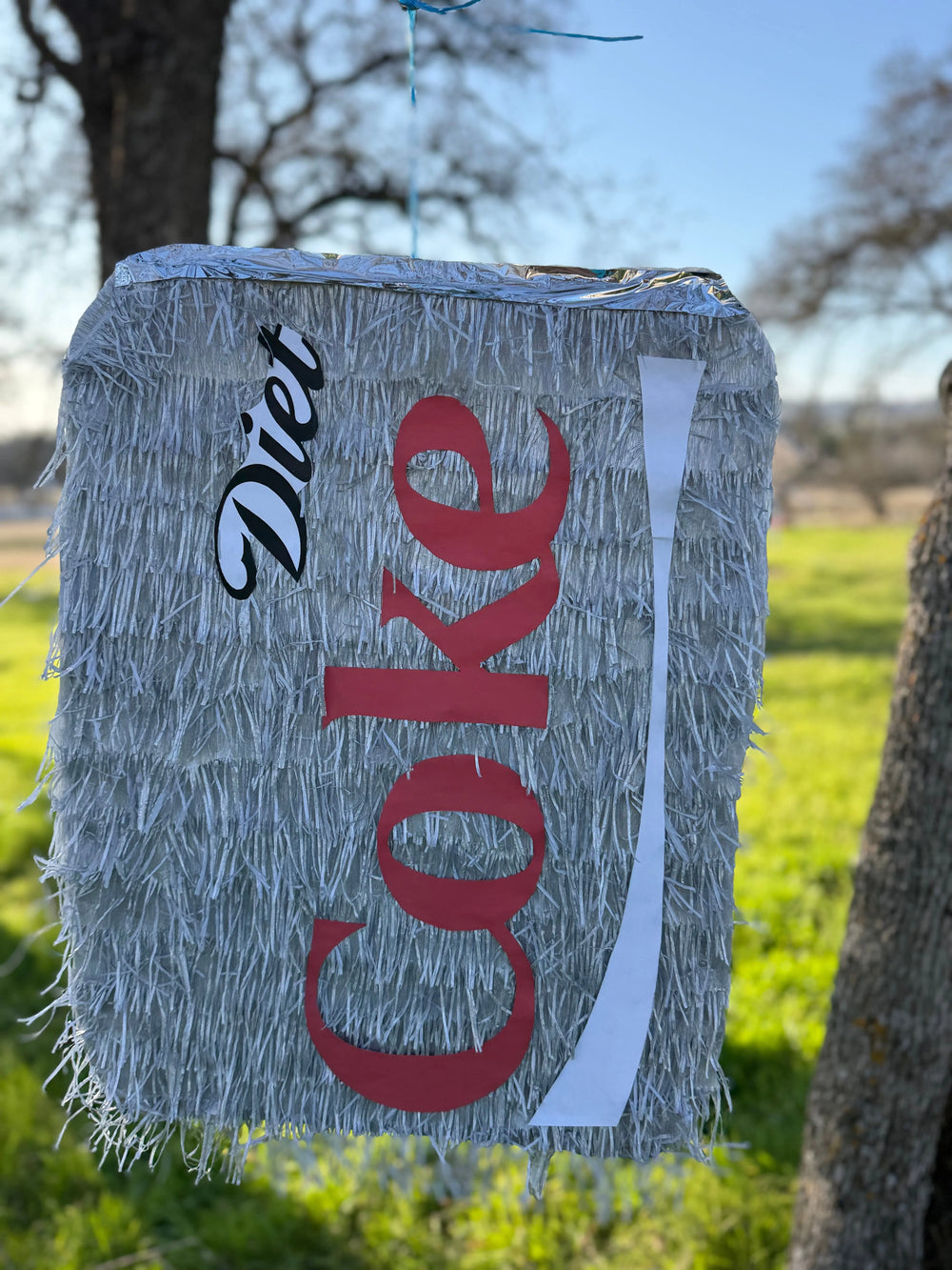 Diet Soda Inspired Piñata | Large Handmade 2D Party Decoration