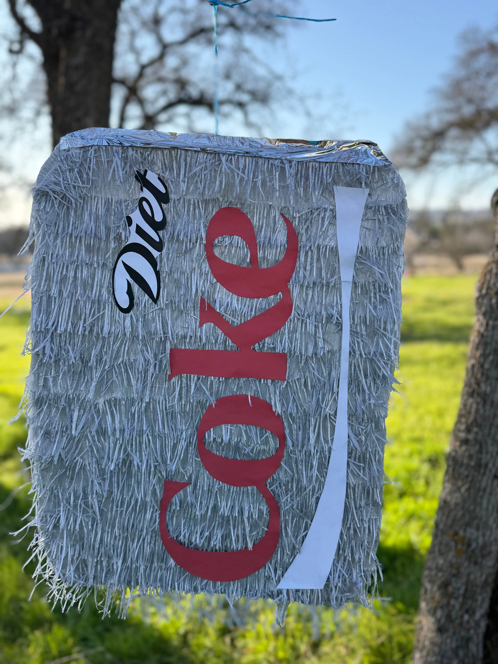 Diet Soda Inspired Piñata | Large Handmade 2D Party Decoration PinataBloom