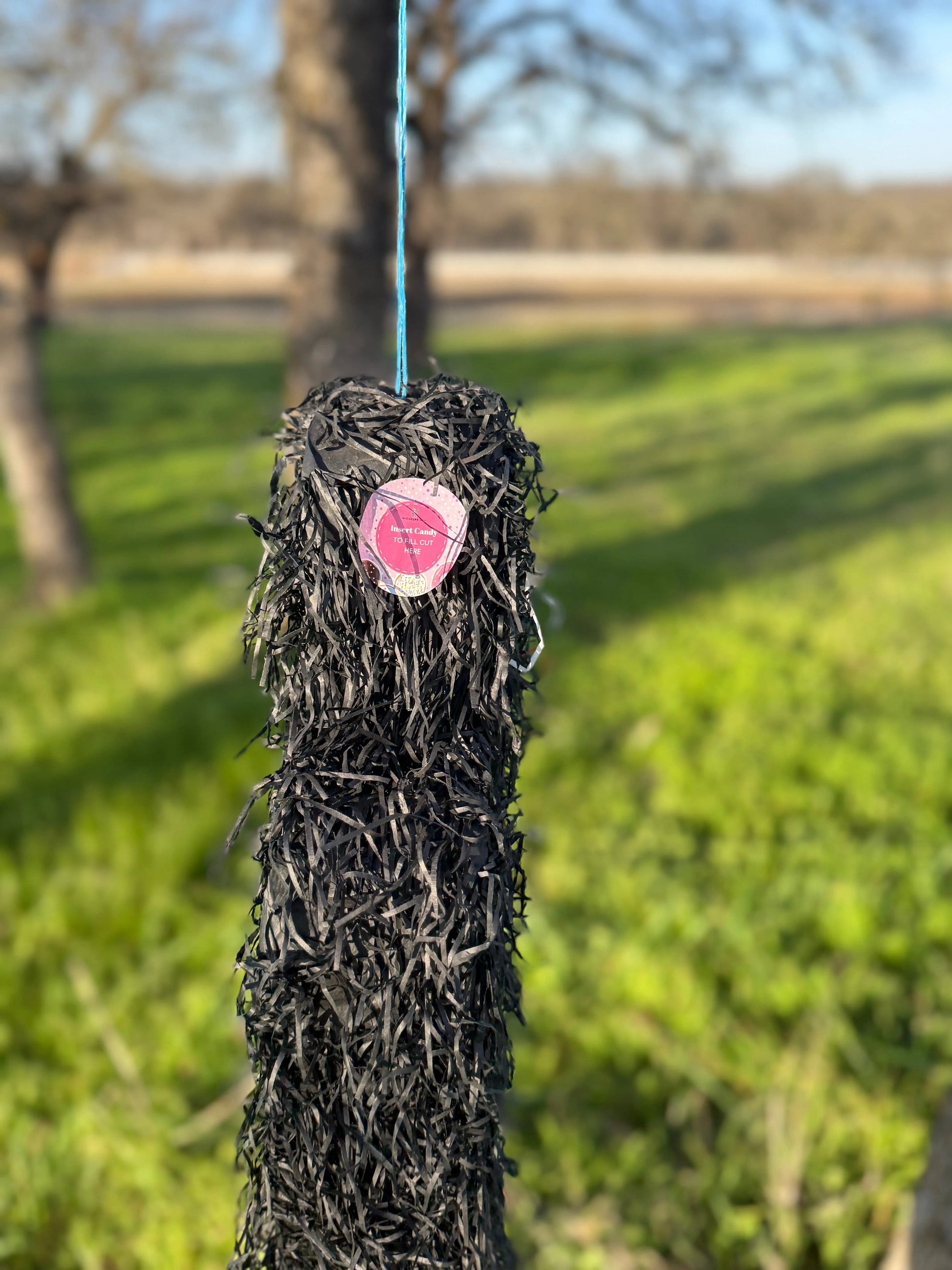 Middle Finger Pinata PinataBloom