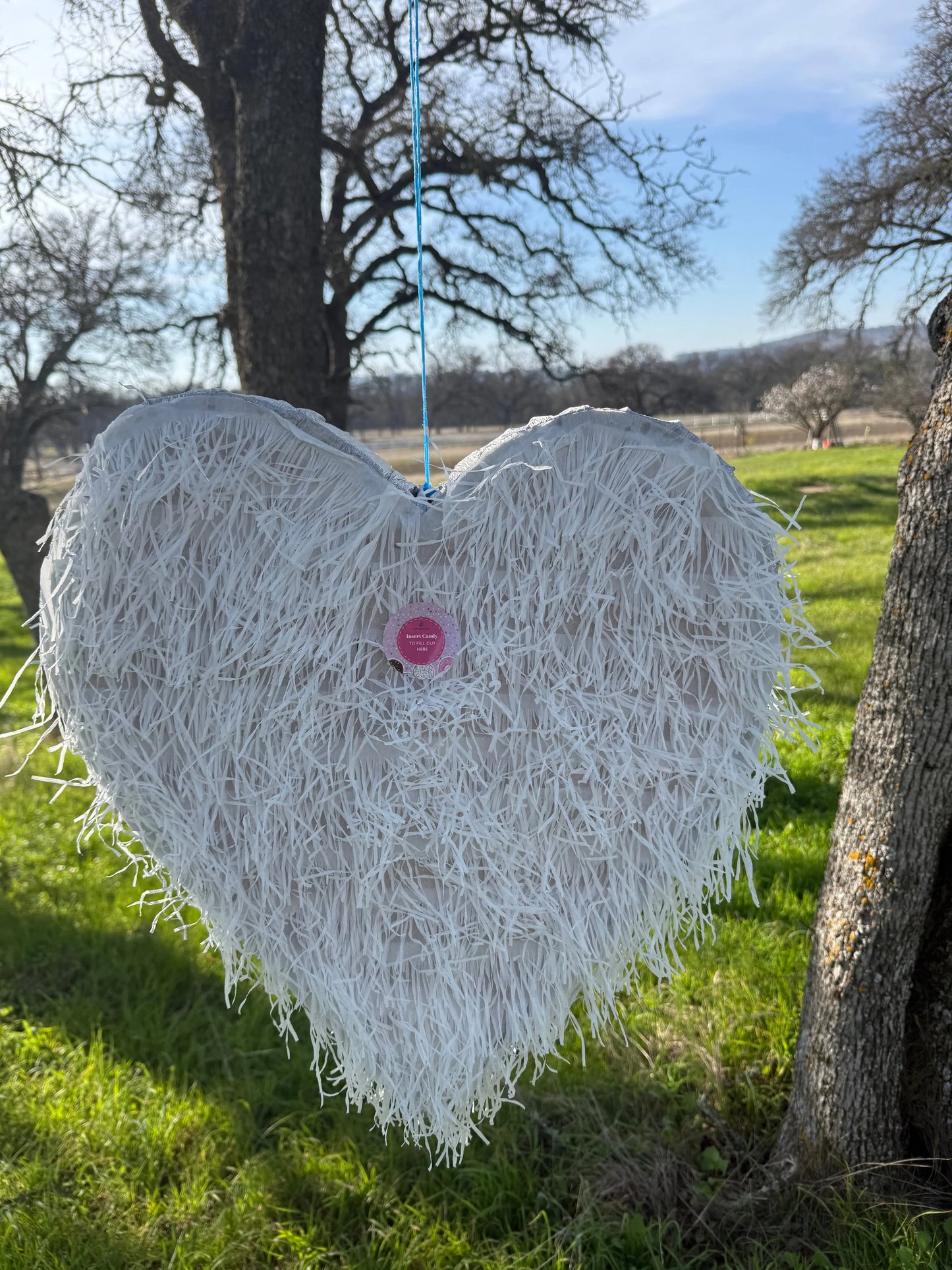 Wedding Heart Piñata for Party Decorations | Large Handmade 2D Romantic Party Piñata PinataBloom