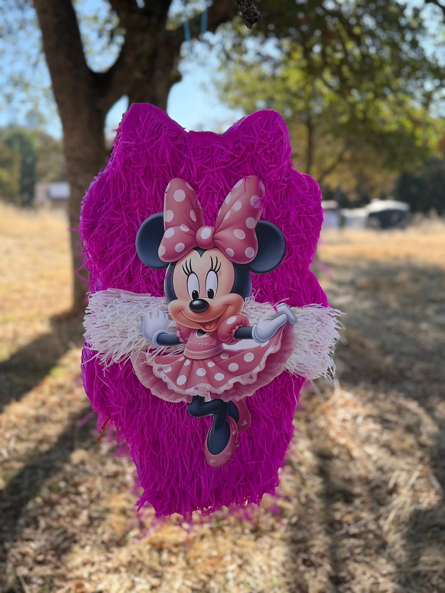 Pink Cartoon Mouse Inspired Piñata for Birthday Party Decorations | Large Handmade 2D Party Piñata PinataBloom