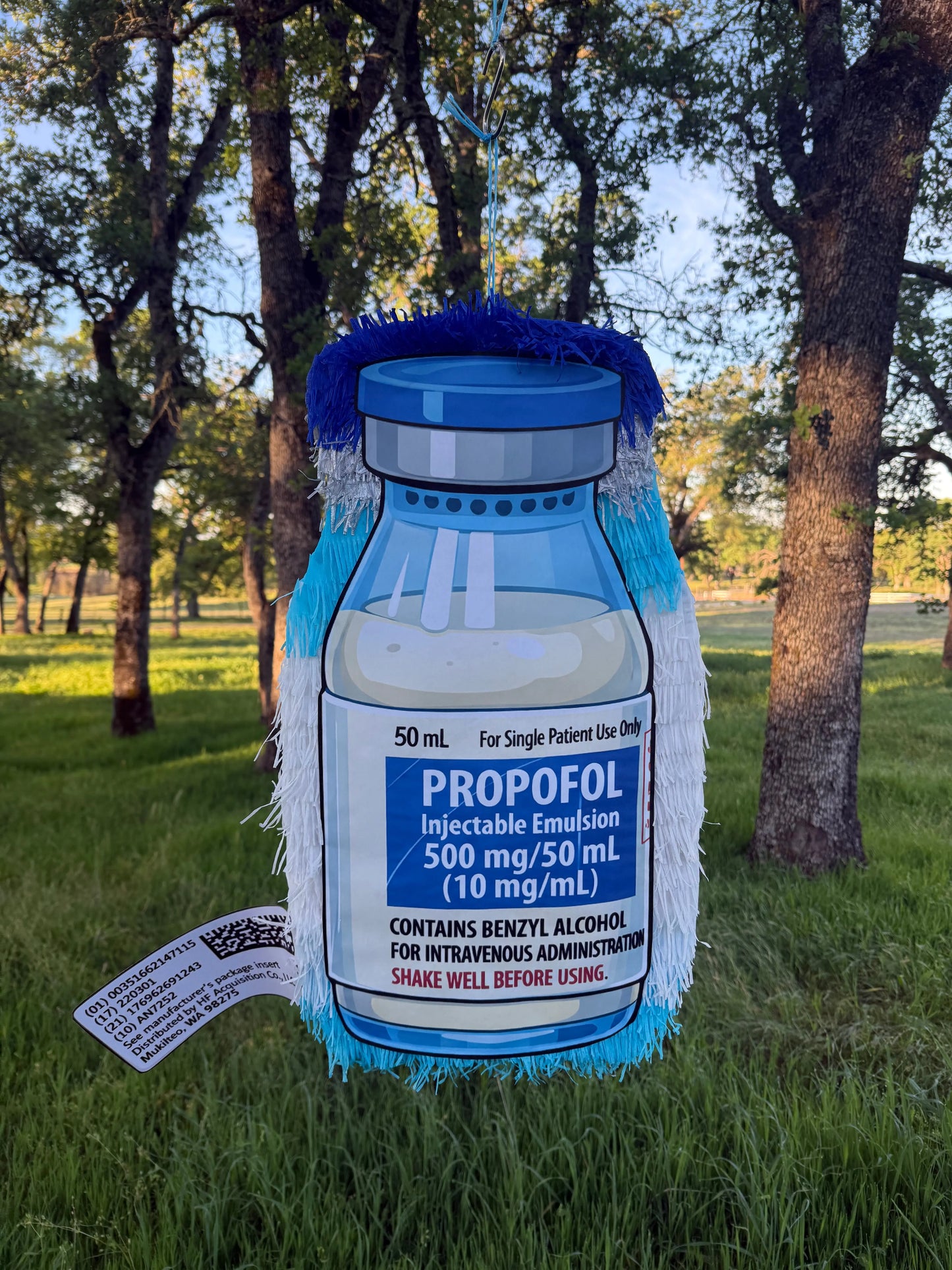 Personalized Medicine Piñata, Create Any Medication Design, Prescription Bottle, Pill Design, Personalized Party Decor 24"x18"x4" and 30"x20"x4" PinataBloom
