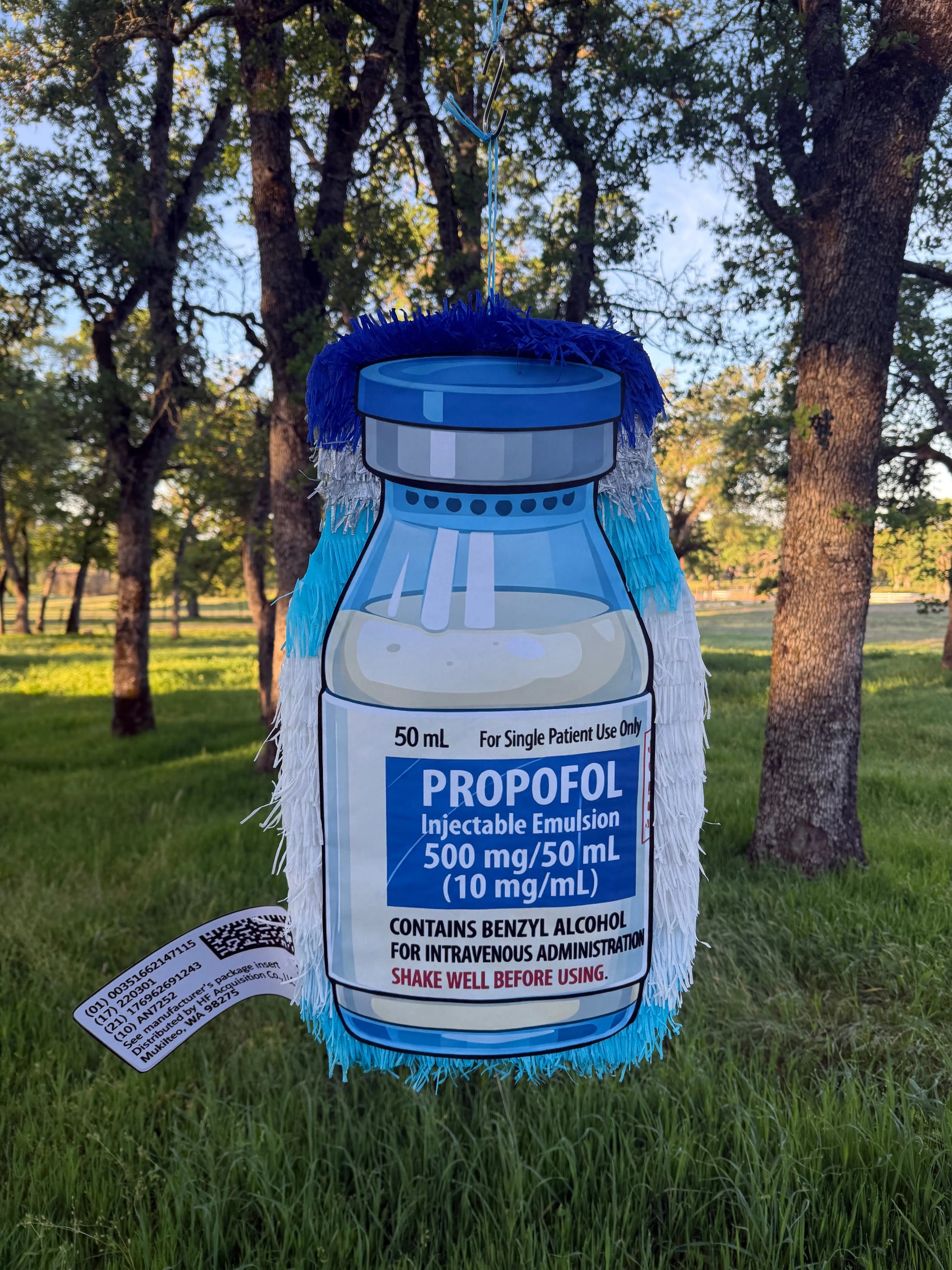 Personalized Medicine Piñata, Create Any Medication Design, Prescription Bottle, Pill Design, Personalized Party Decor 24"x18"x4" and 30"x20"x4" PinataBloom