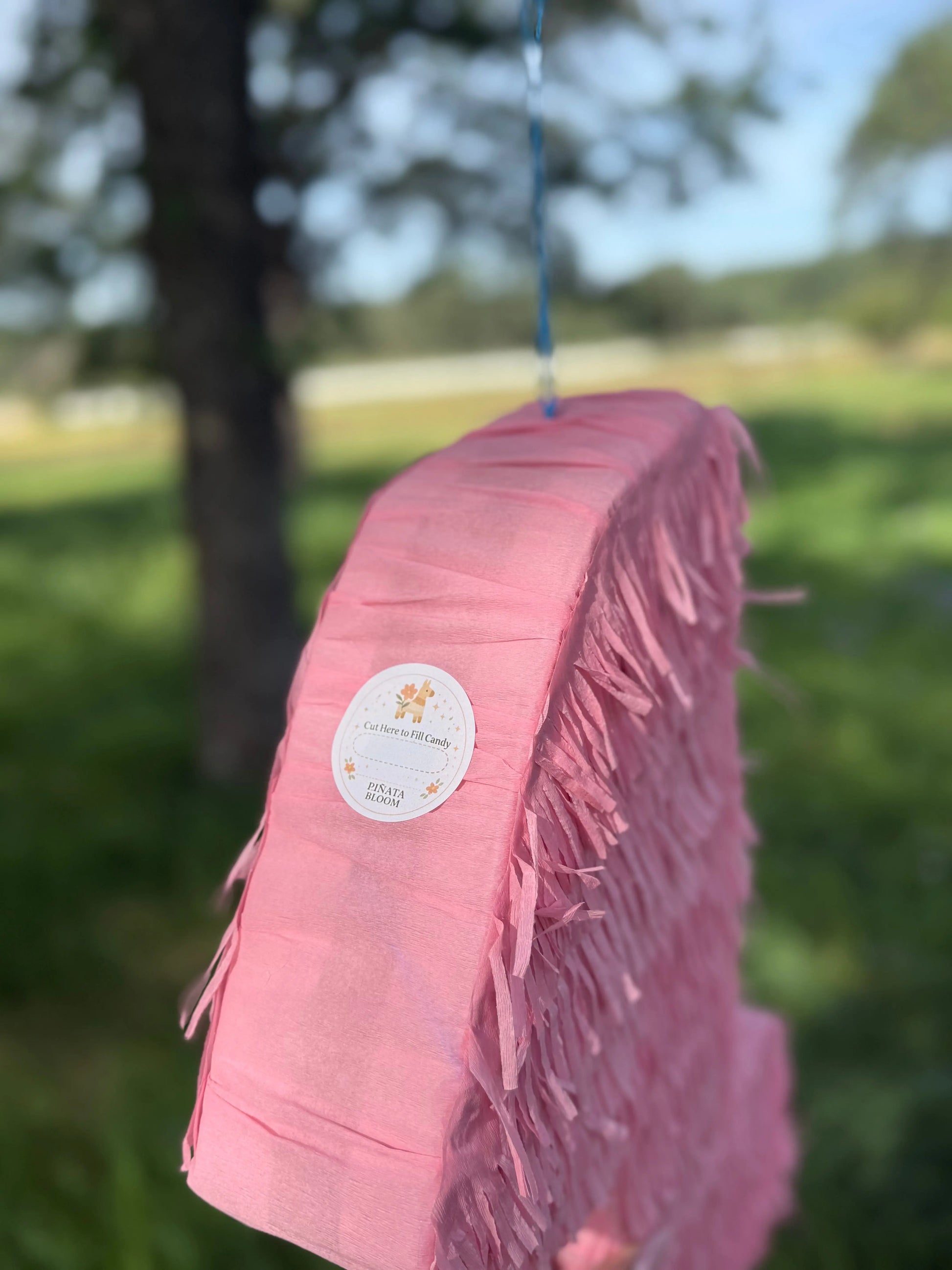Pink Number Piñata Personalized Birthday Pinata 24"x18"x4" and 30"x20"x4" PinataBloom