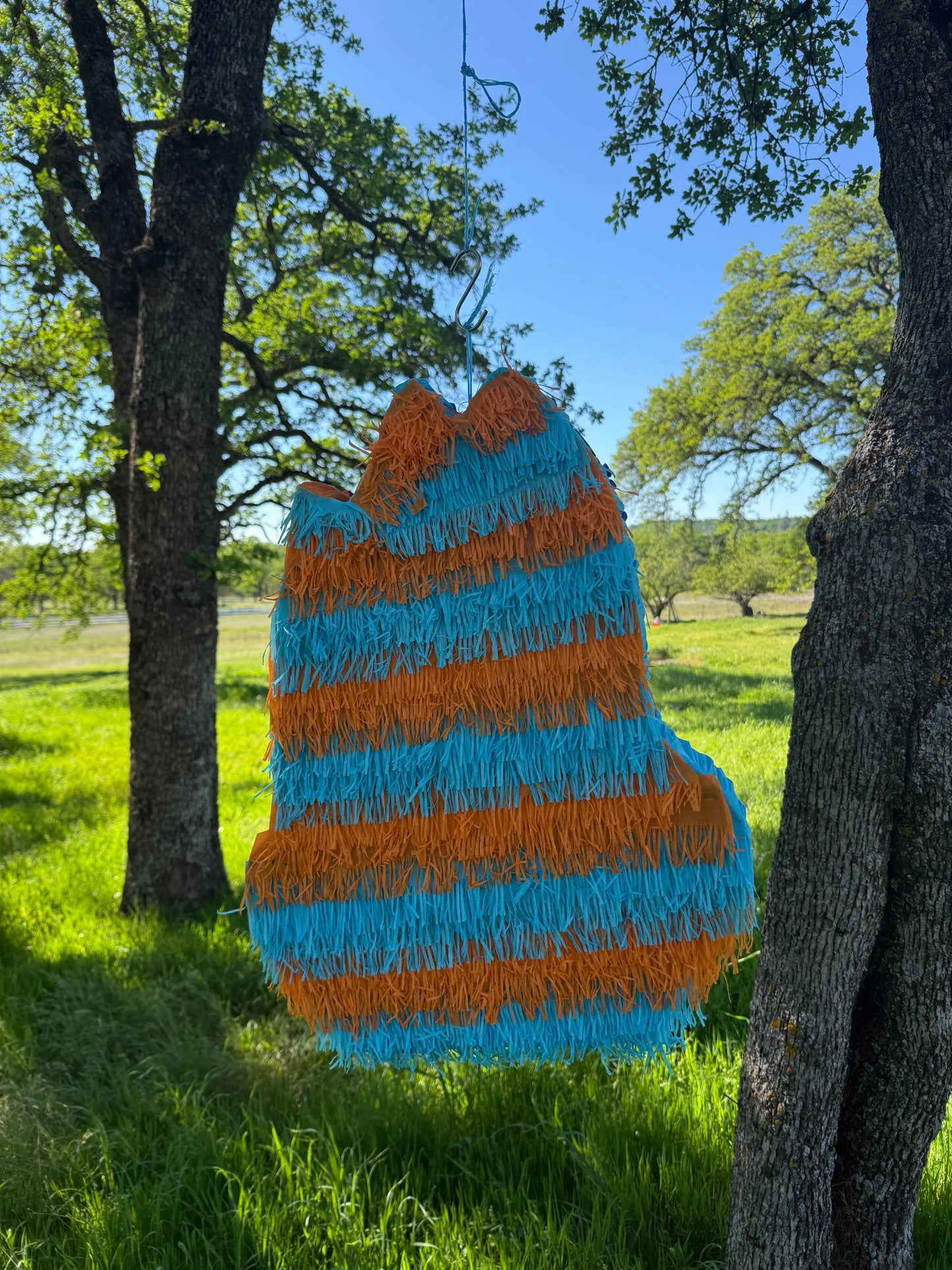 Bluey and Bingo Pinata 24"x18"x4" PinataBloom