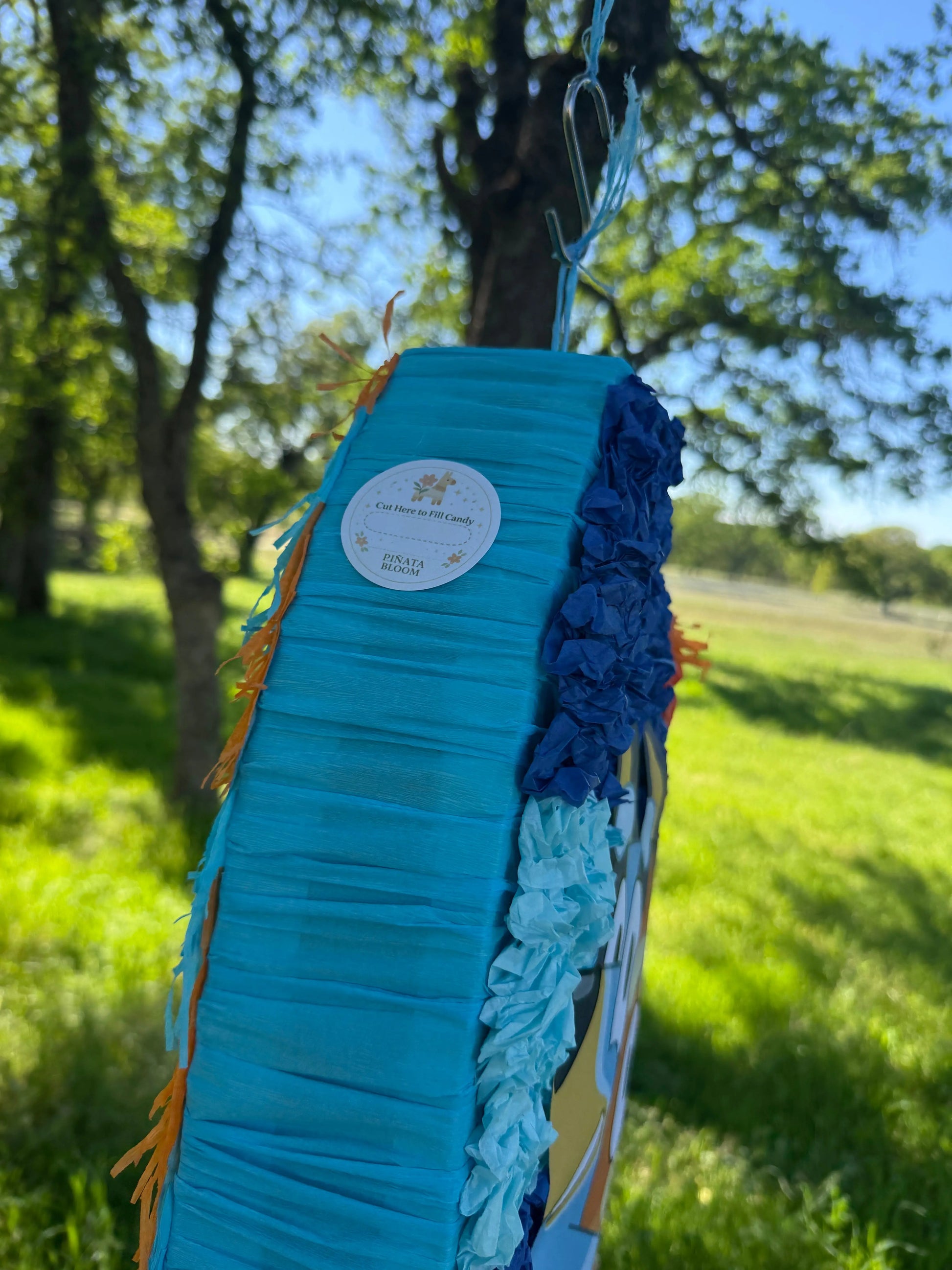 Bluey and Bingo Pinata 24"x18"x4" PinataBloom