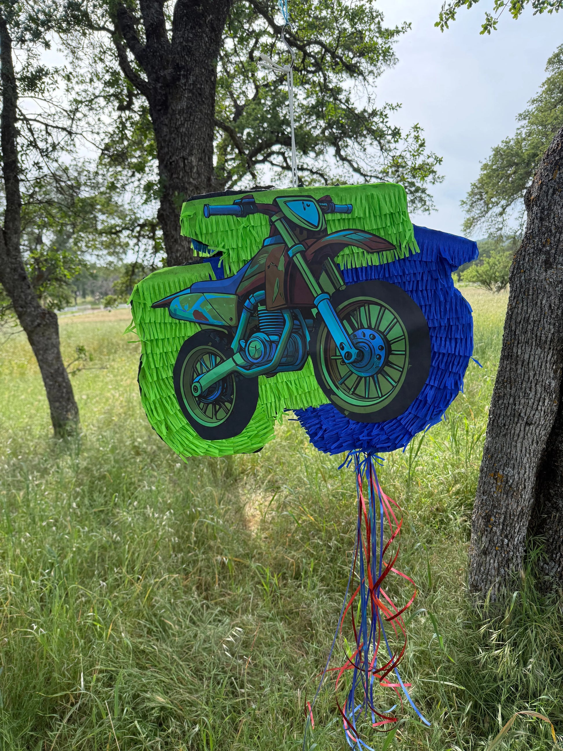 Handmade Dirt Bike Piñata | Motorcycle Birthday Party Decor 24"x18"x4" & 30"x20"x4" PinataBloom