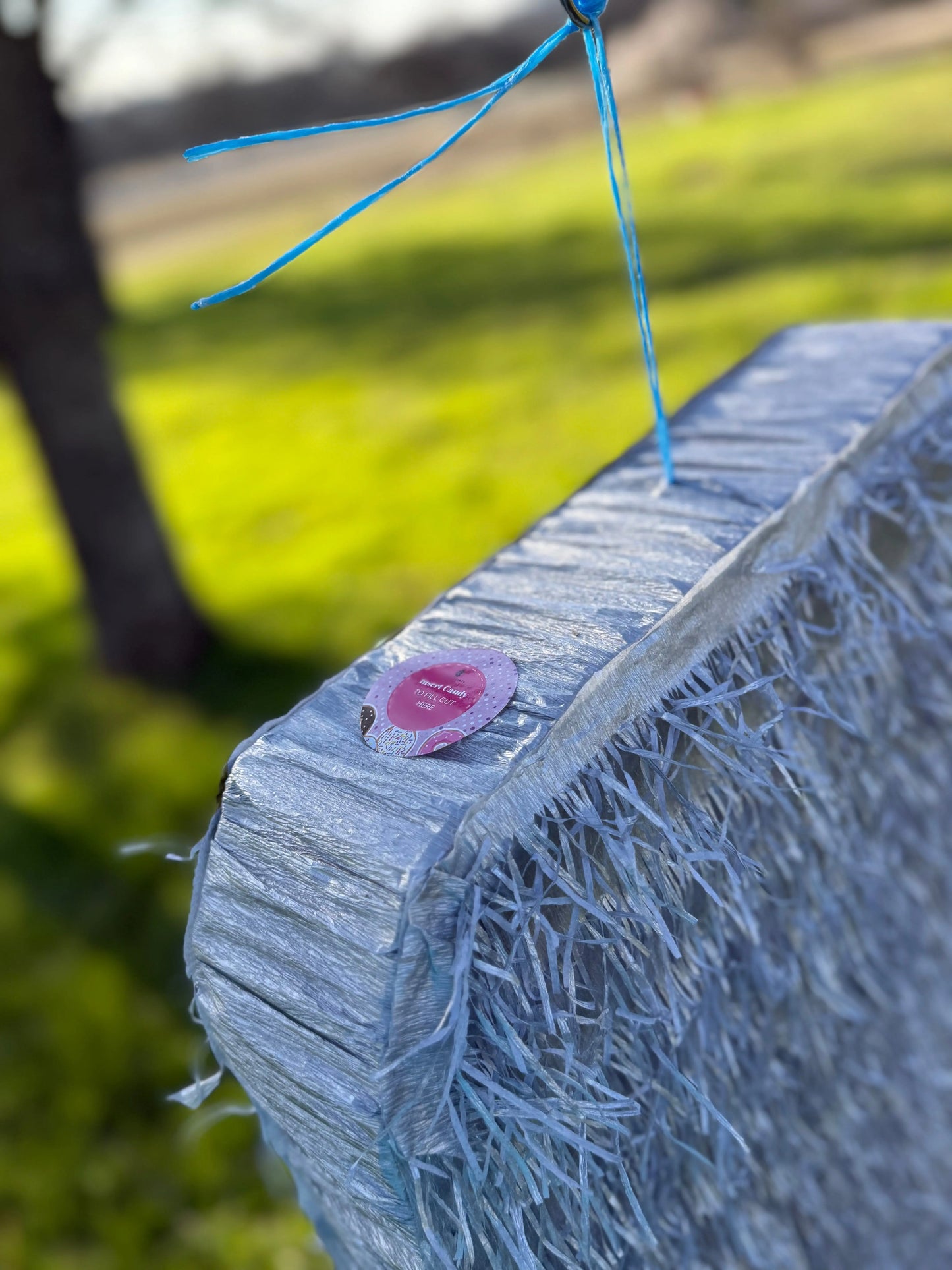 Diet Soda Inspired Piñata | Large Handmade 2D Party Decoration PinataBloom
